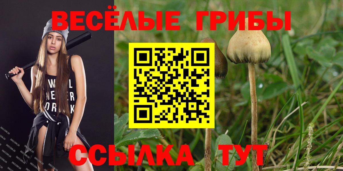Галлюциногенные грибы прущие грибы  Галлюциногенные грибы Cubensis  Магадан  Вход с VPN 